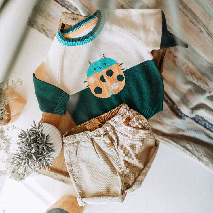 Chandail de maille à manches longue vert, crème et motif jacquard insecte, bébé || Long sleeve knitted sweater in green, cream and insect jacquard pattern, baby
