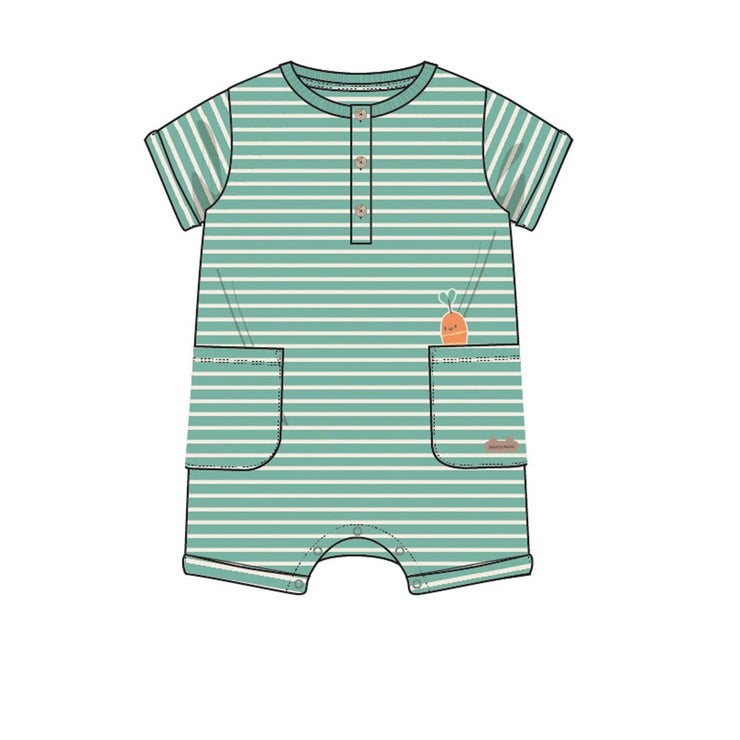 Barboteuse verte à rayures, naissance 