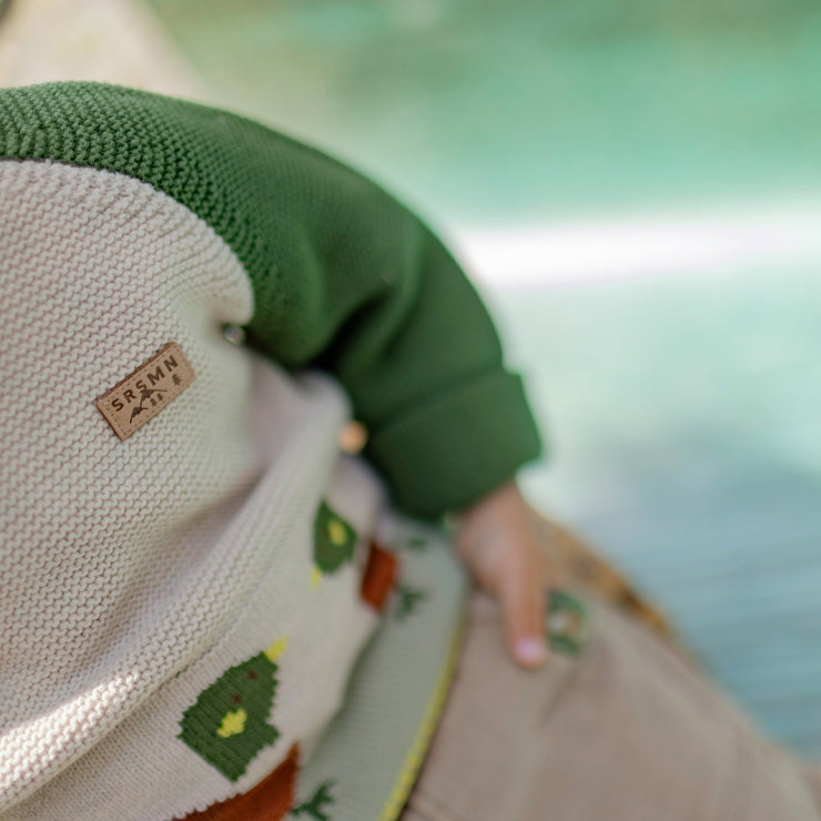 Chandail en tricot vert à motifs jacquard de canards, bébé || Green knit sweater with duck jacquard pattern, baby