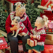 Chandail rouge en tricot pour animaux