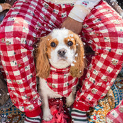 Foulard réversible crème et rouge pour animaux en jersey à motifs des fêtes et carreaux