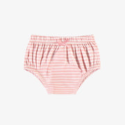 Bloomer rose et crème à rayures, naissance