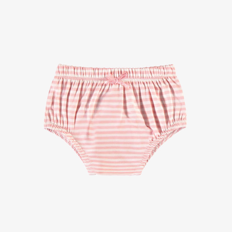 Bloomer rose et crème à rayures, naissance