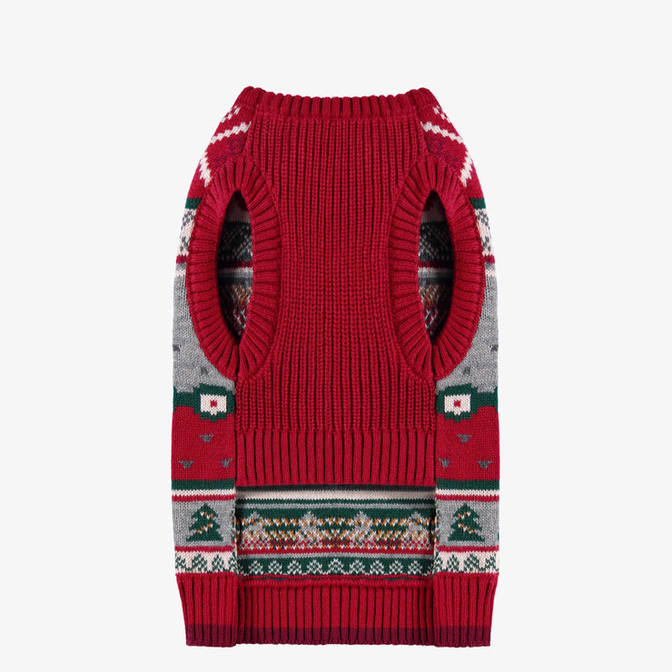 Face au chandail rouge en tricot pour animaux